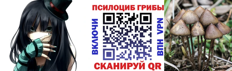 Галлюциногенные грибы Psilocybe  Рудня 